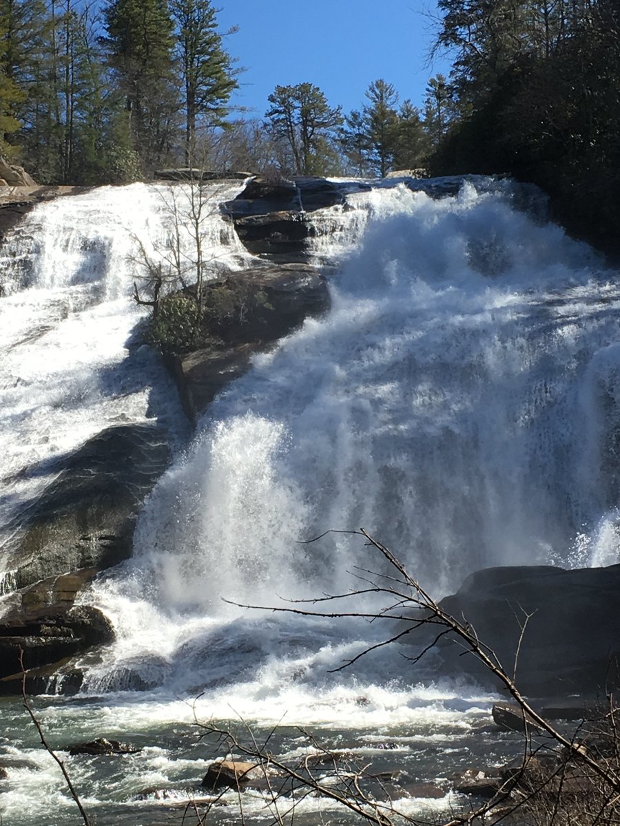 Raindance Nirvana tweet media