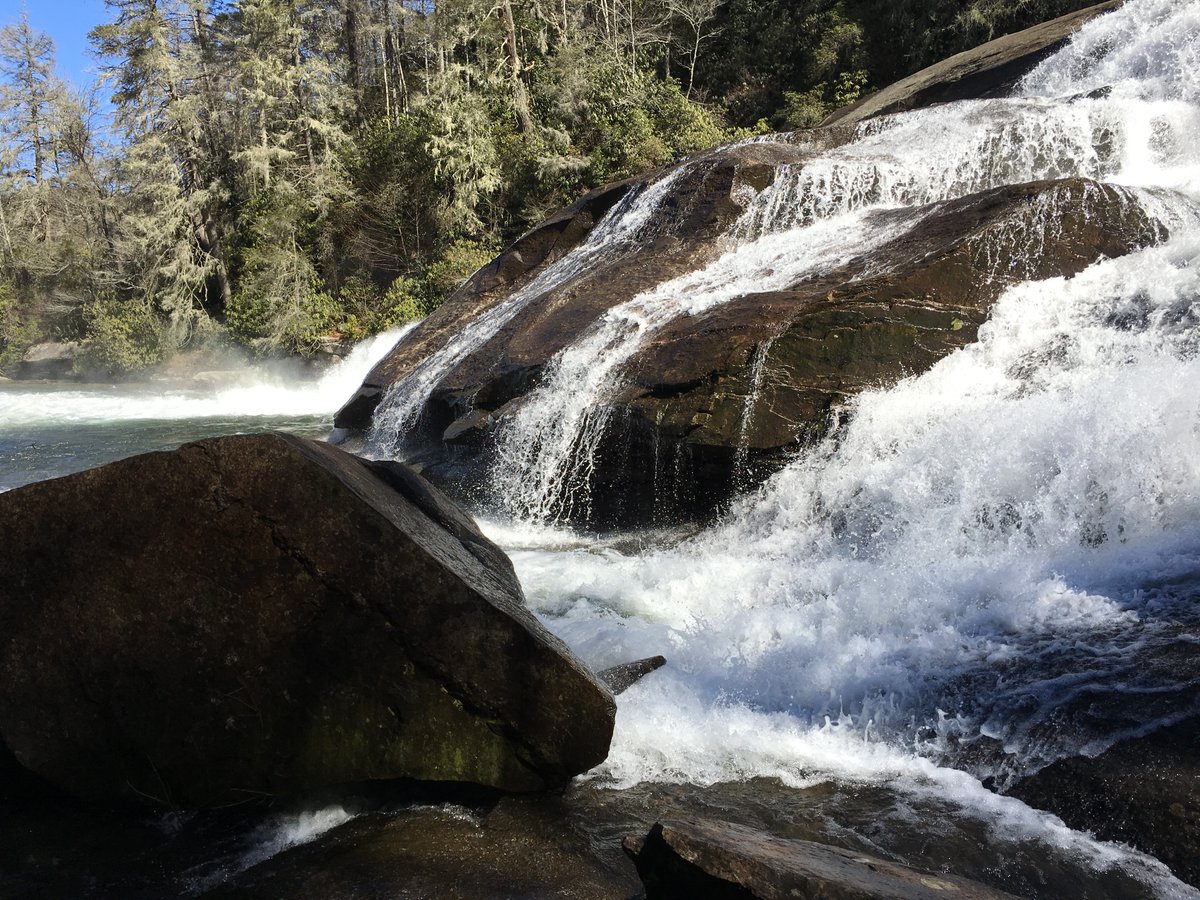 Raindance Nirvana tweet media