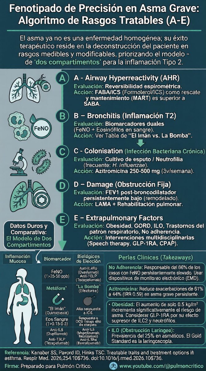 ¿Asma difícil de tratar? 
🫁 Olvida los algoritmos lineales. En 2026, el enfoque son los Rasgos Tratables (A-E). Aquí un resumen para el especialista:
A (AHR): SABA ya no es opción. El estándar es FABA/ICS (Formoterol). 
B (Bronquitis): Modelo de 2 compartimentos. FeNO