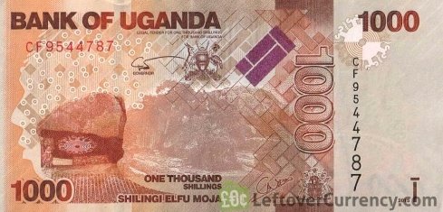 Acholi goddd tweet media