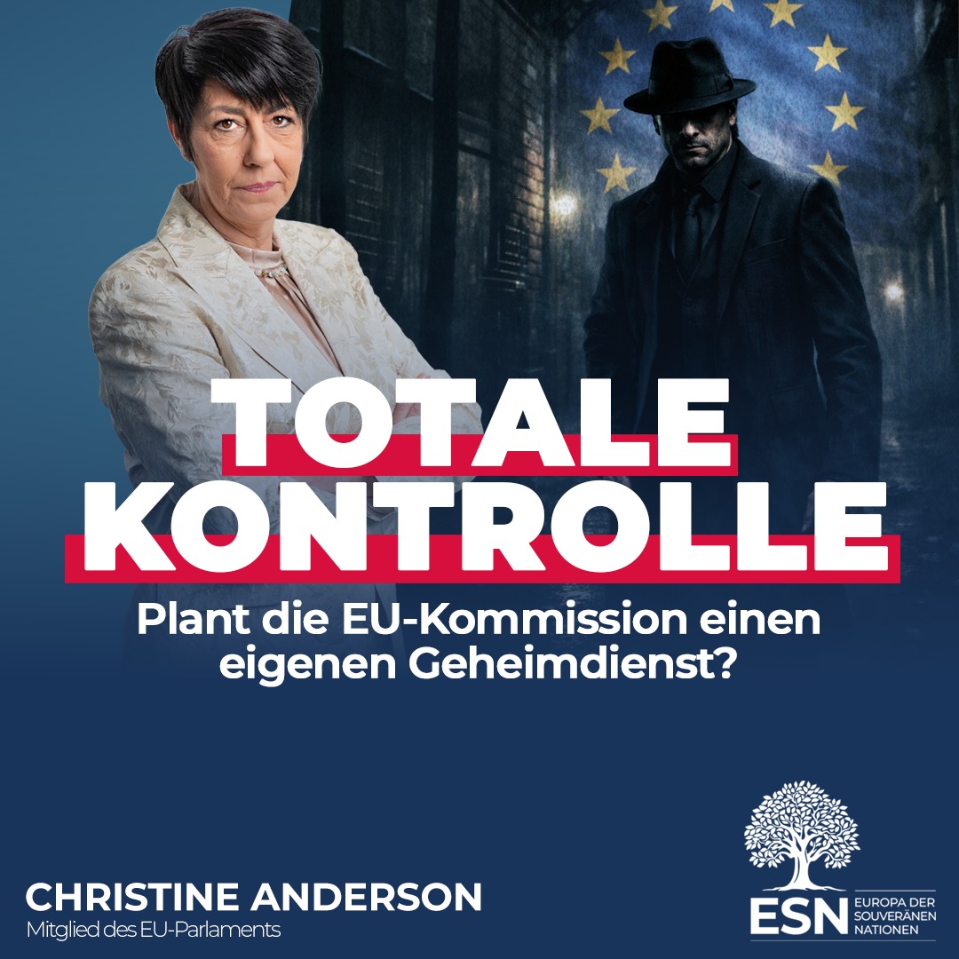 AfD im EU-Parlament tweet media