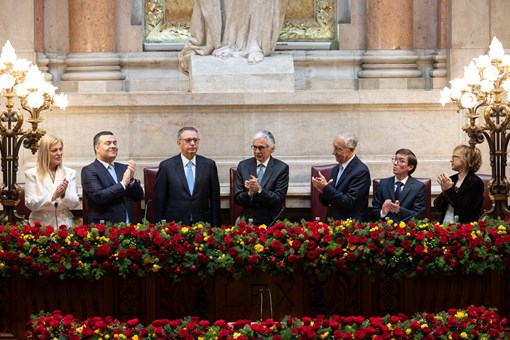 Daniela Gîtman tweet media