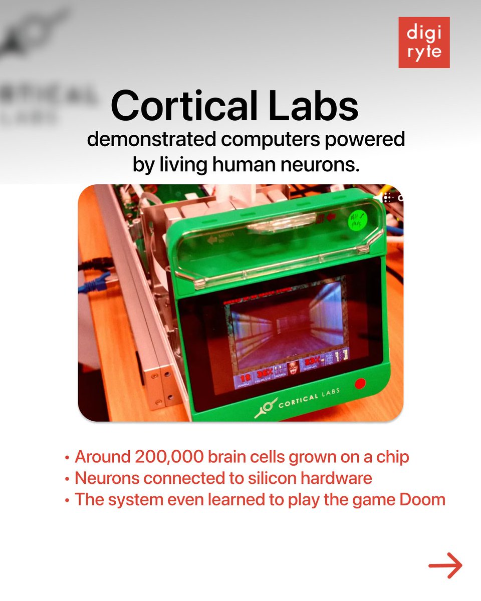 Digiryte tweet media