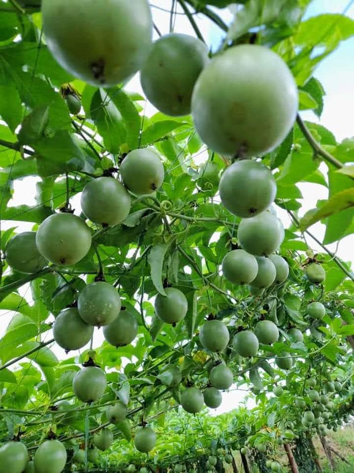 AGRICULTURE NOTES tweet media