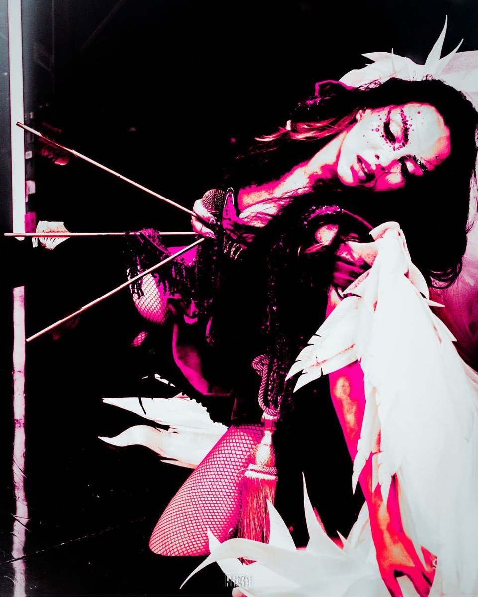 P H A E D R A tweet media