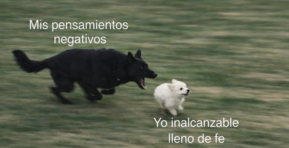 Excelente inicio de semana 🐶