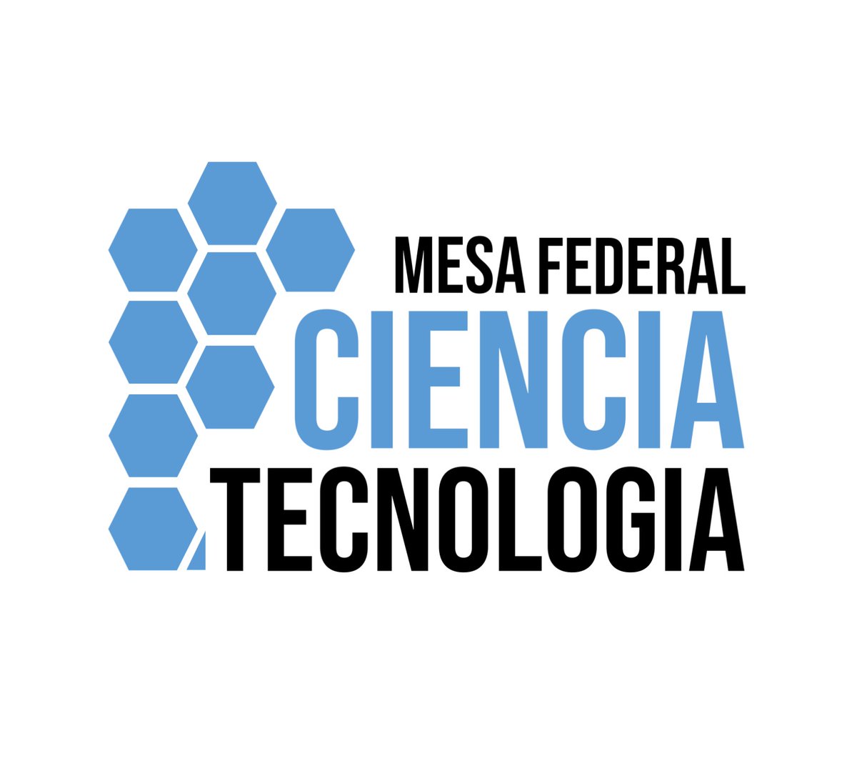 MesaFederalxCyT tweet media