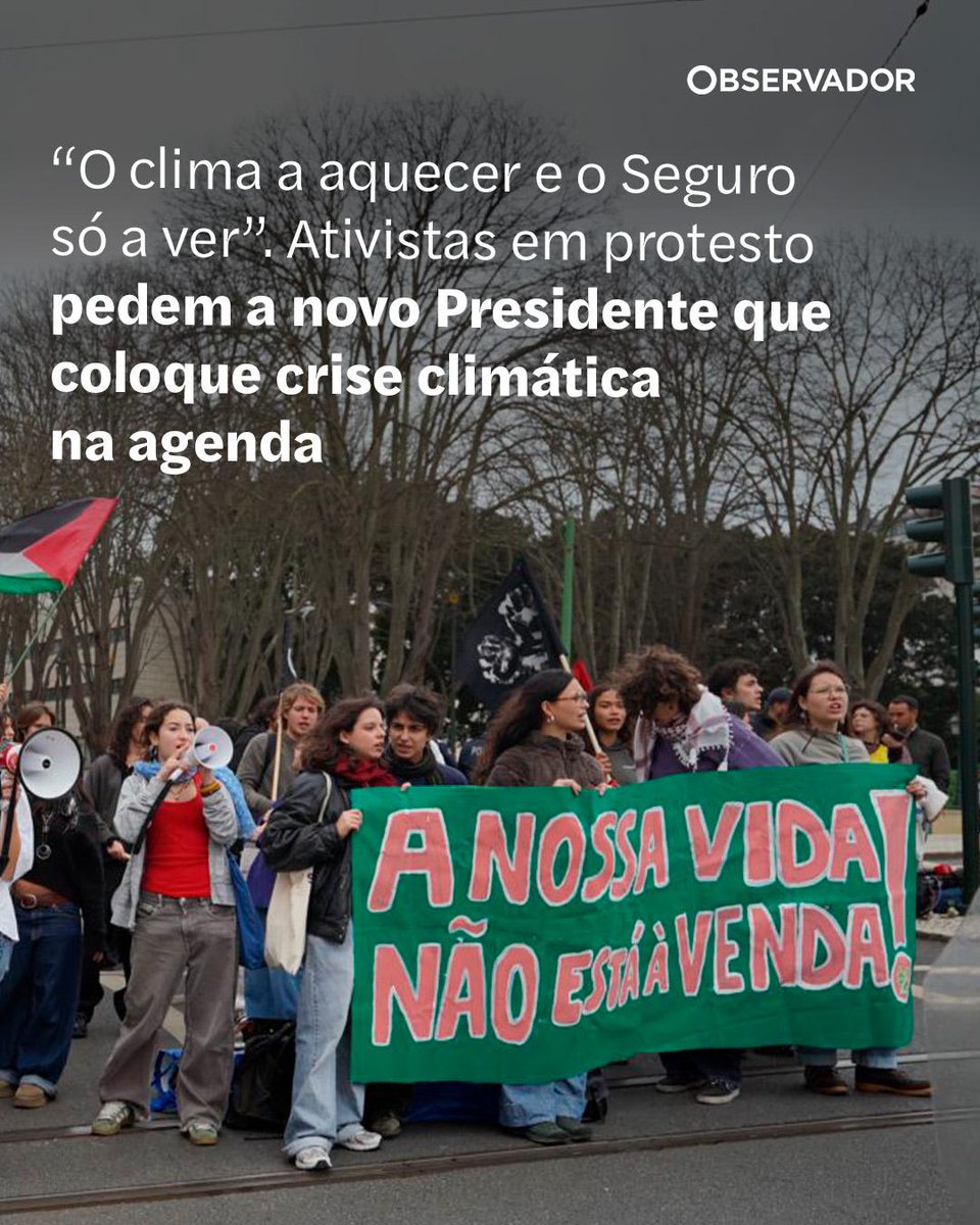 Observador tweet media