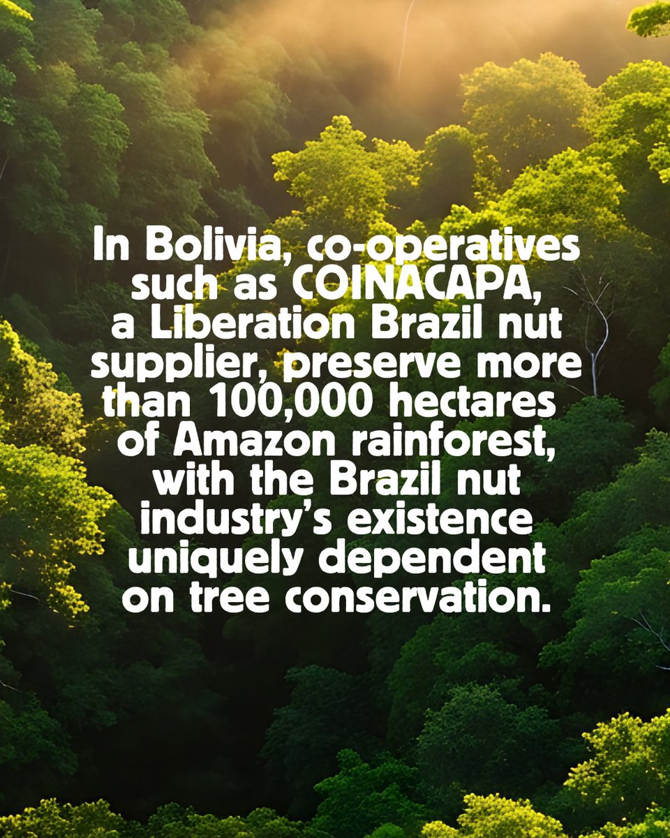 Shared Interest tweet media