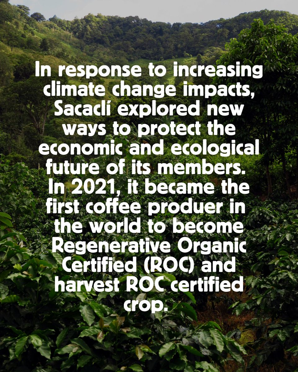 Shared Interest tweet media