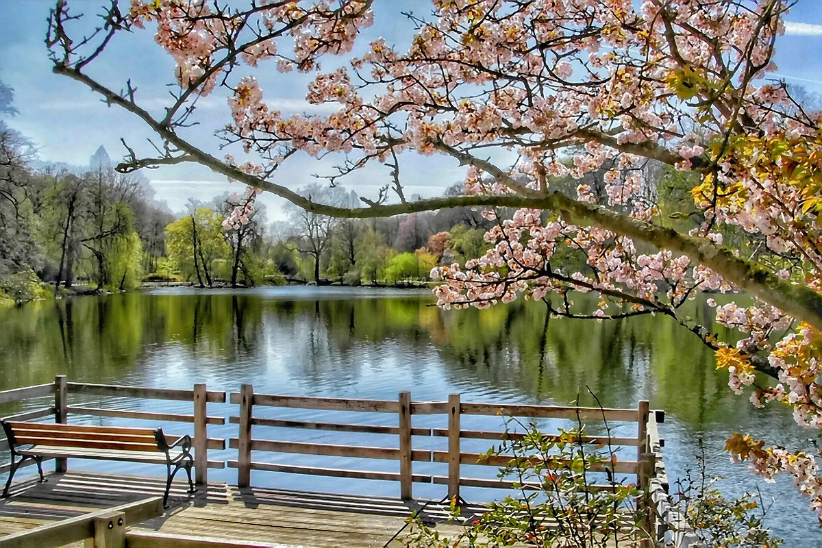 Stadt_Dortmund's tweet photo. Der Botanischer Garten Rombergpark ist einer der schönsten Orte in Dortmund für einen Spaziergang, ein Picknick oder einfach zum Abschalten.
🚇 Einfach mit der Stadtbahn:
Mit der U49 Richtung Hacheney bis zur Haltestelle Rombergpark Station fahren.
Viel Spaß! https://t.co/9Z7WKV4c27