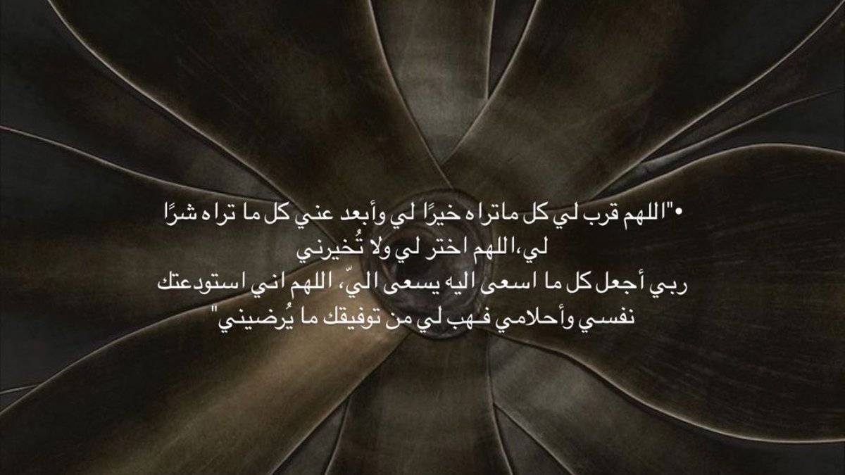 Basma Alghamdi tweet media