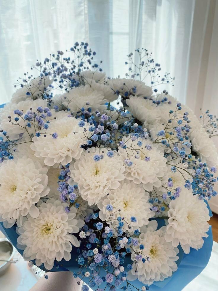 Bloomify tweet media