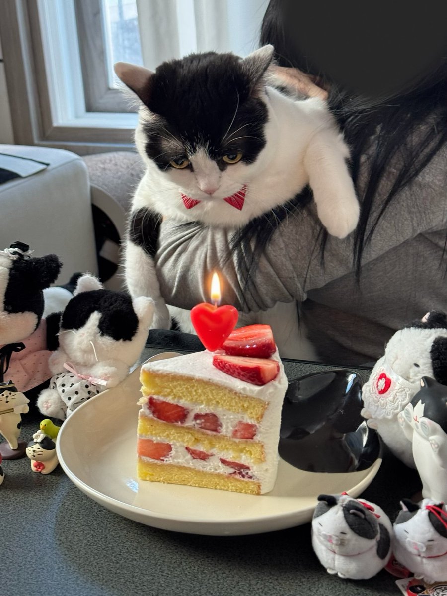 _Lagoon_Jelly_'s tweet photo. 코이의 5번째 생일을 축하하며 。．♡ https://t.co/wMxplZnCxi