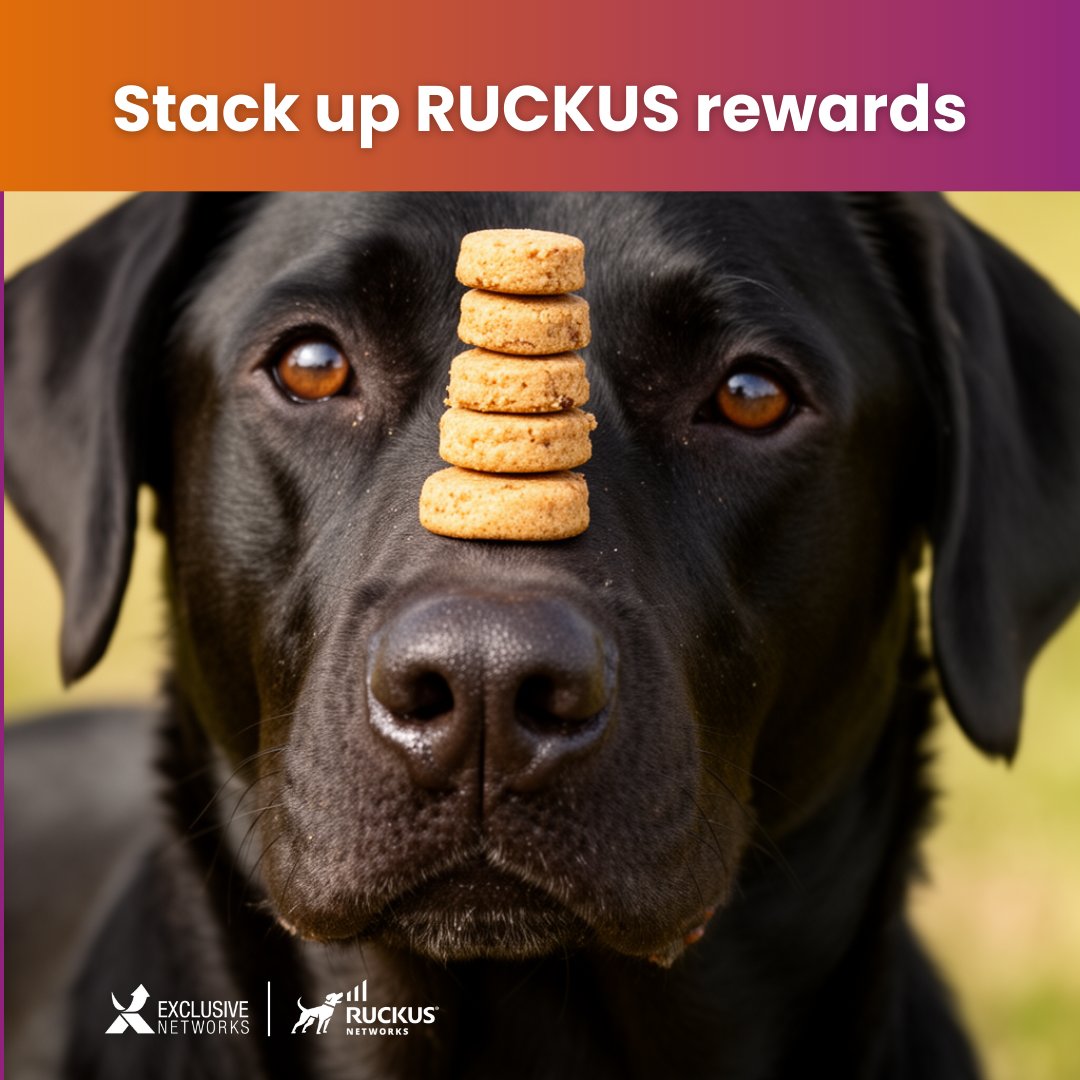 Exclusive Networks NA tweet media