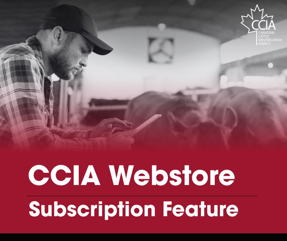 CCIA (Canadian Cattle Identification Agency) tweet media