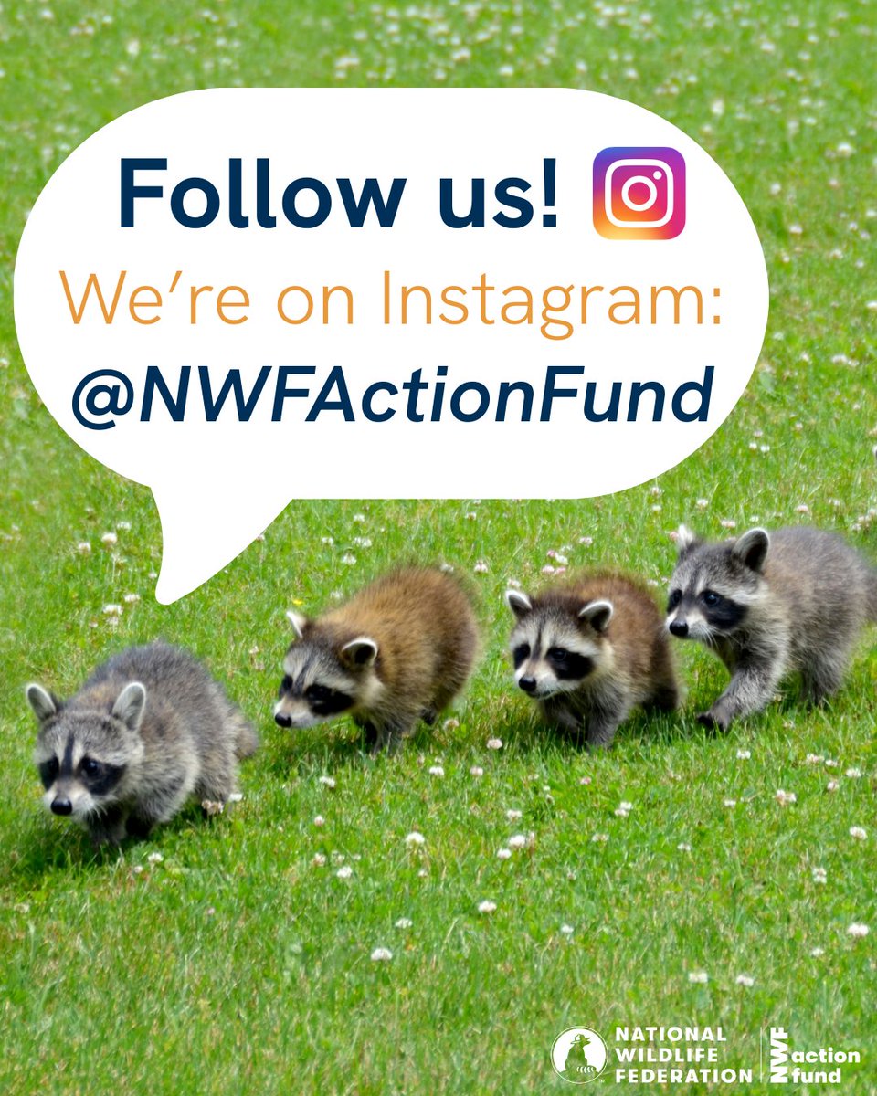 National Wildlife Federation Action Fund tweet media