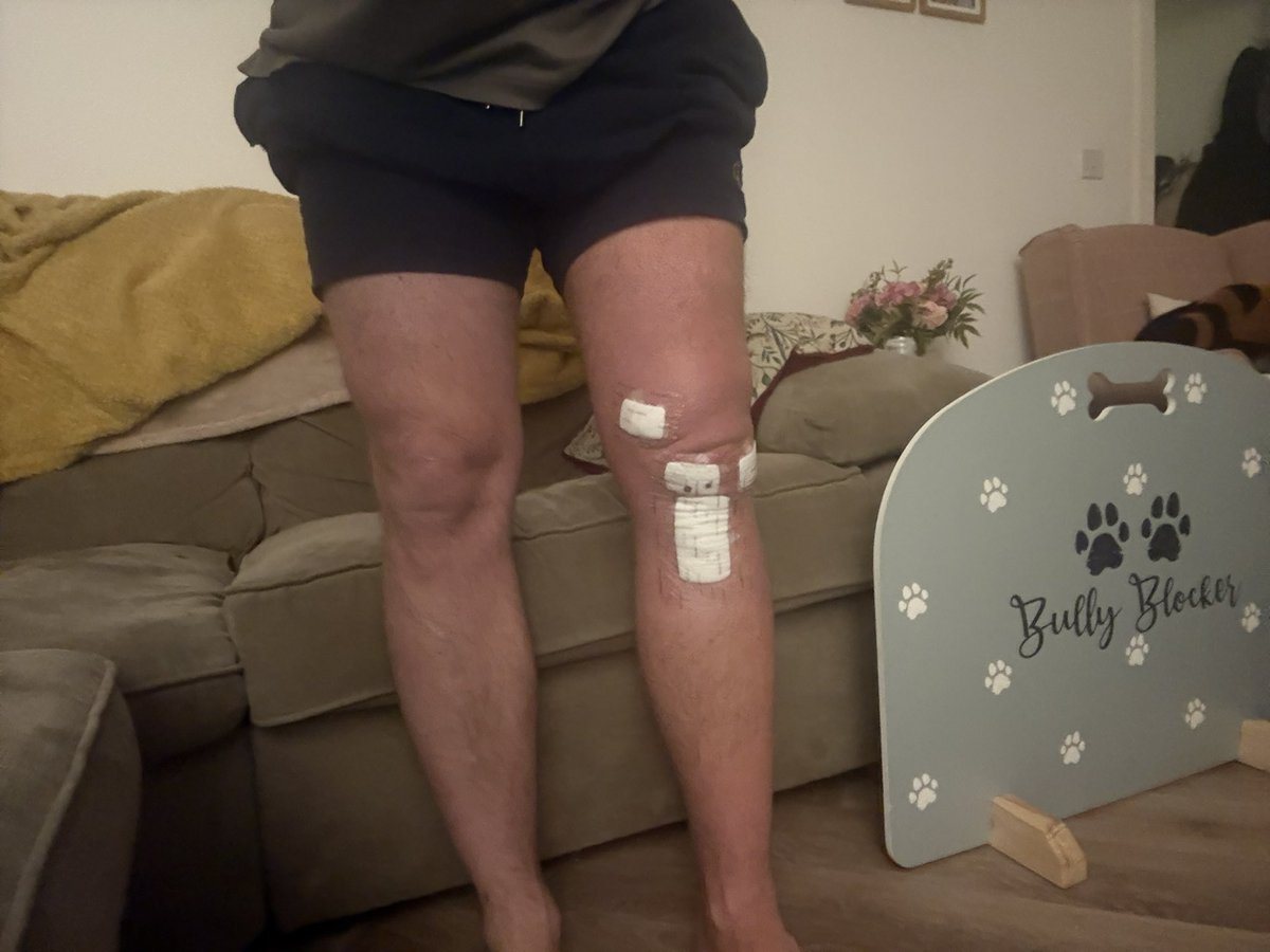 Joey Tustain tweet media