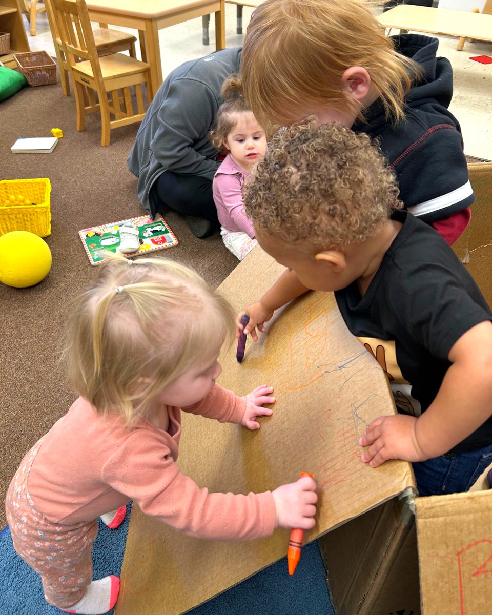 The Sunshine House tweet media