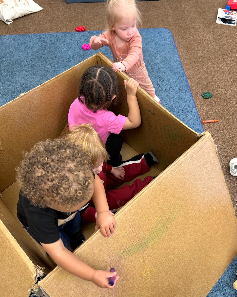 The Sunshine House tweet media