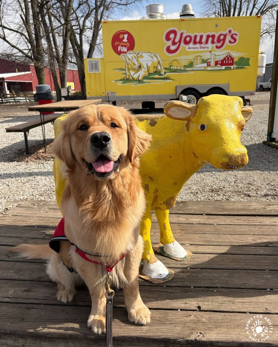 4 Paws For Ability tweet media