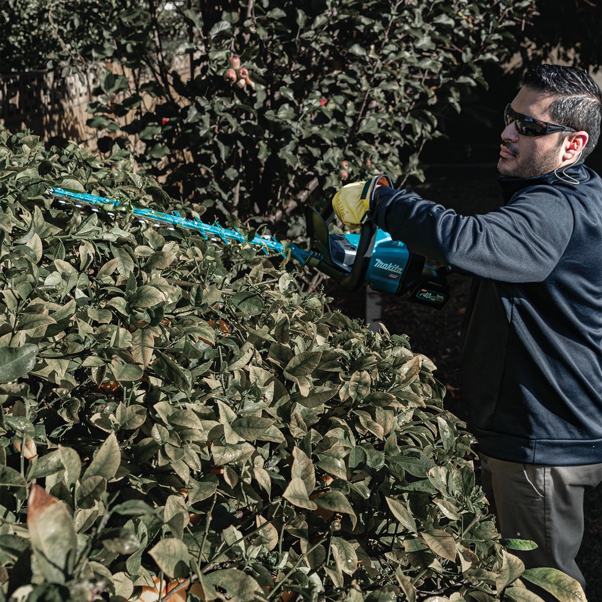 Makita Tools USA tweet media