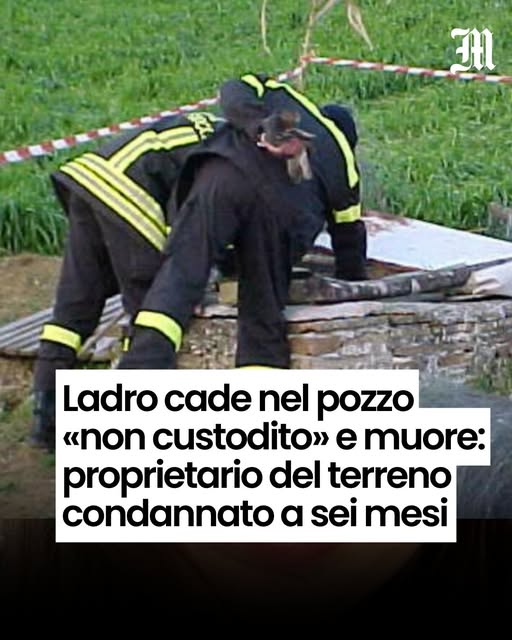 CAESO QUIINCTIUS tweet media