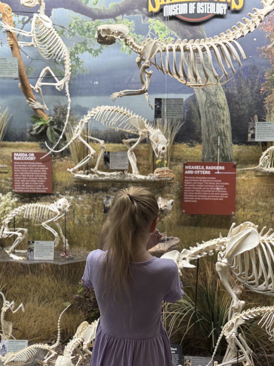 MetroLibraryOK tweet media