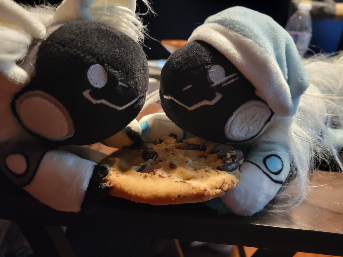 Otto Dumb tweet media