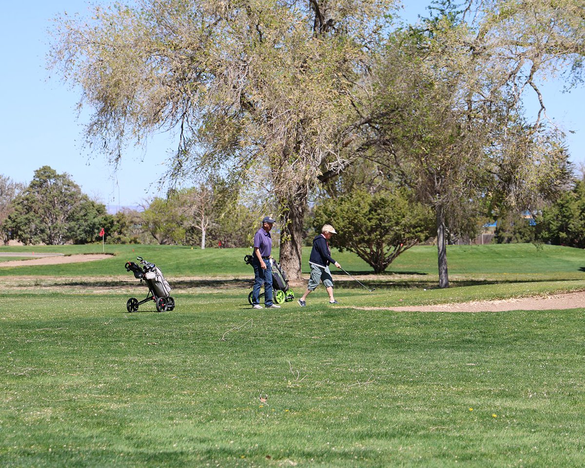 CABQ Parks & Recreation tweet media