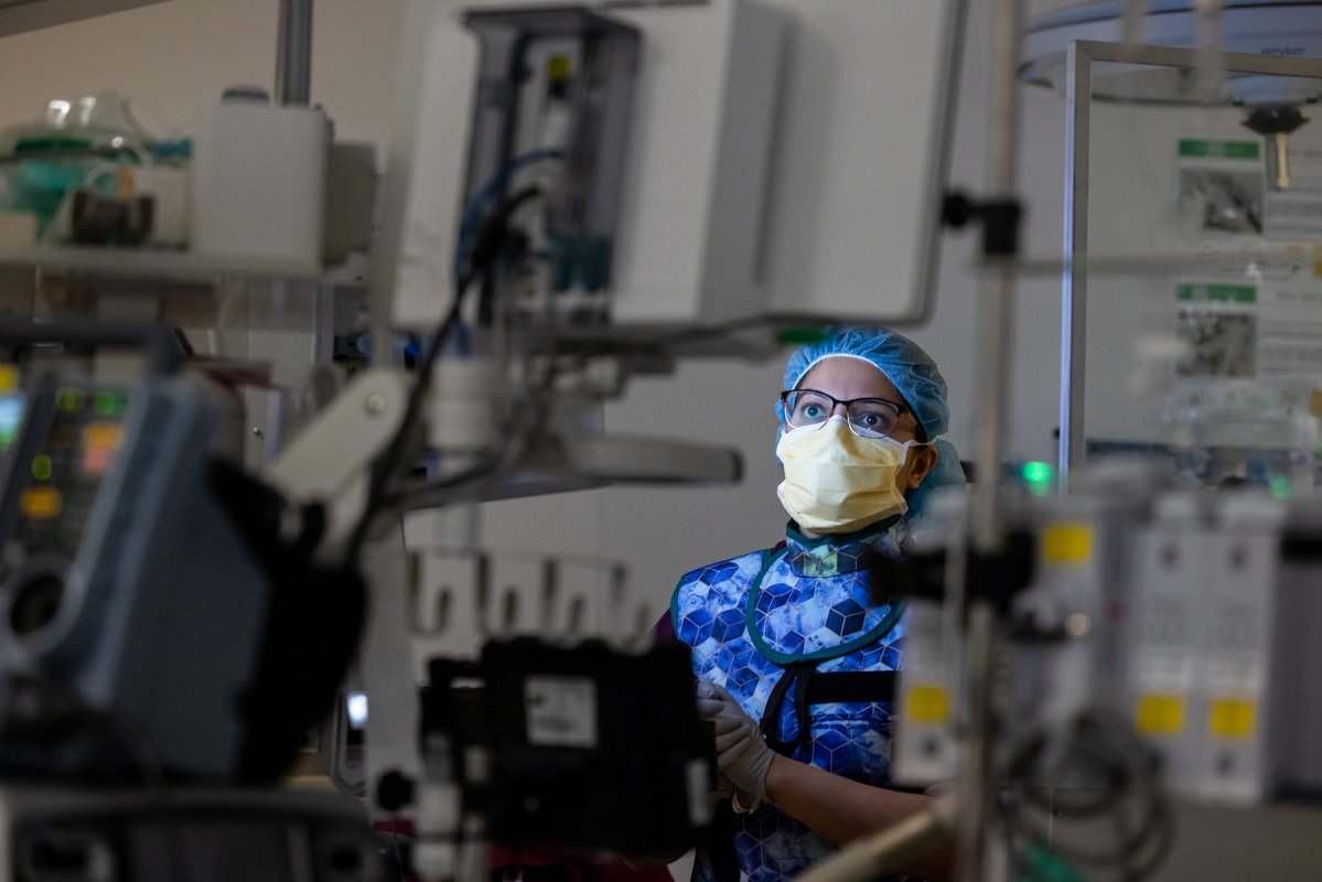 UI Department of Anesthesia tweet media