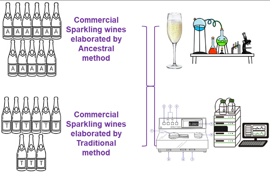 Beverages_MDPI's tweet image. 📢 Read the Published Paper!

👉 Assessment of Physicochemical and Sensory Characteristics of Commercial Sparkling Wines Obtained Through Ancestral and Traditional Methods
📍 brnw.ch/21x0AjL

#wines #ancestralmethod #traditionalmethod #physicochemicalcomposition