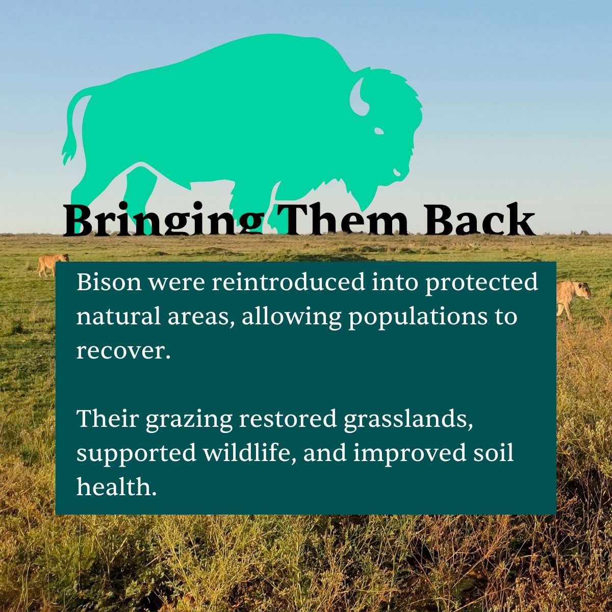 RESTOREID tweet media