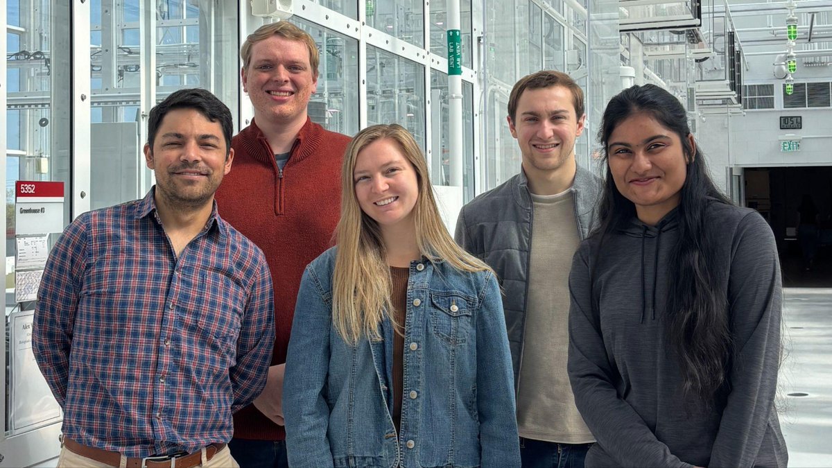 NC State Engineering tweet media