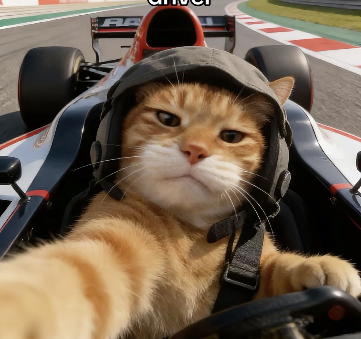 Team Azuri Esports tweet media