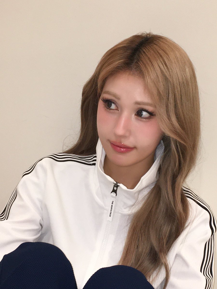 세라픽 tweet media