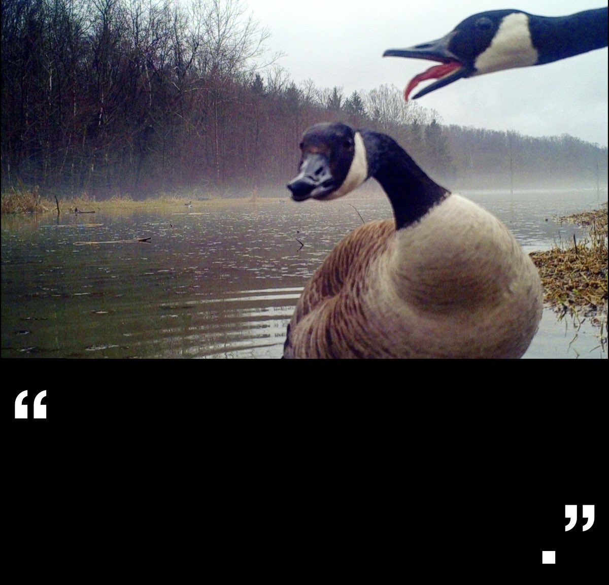 Gaming For Ages - 𝚝𝚛𝚢 𝚘𝚞𝚛 𝚈𝚘𝚞𝚃𝚞𝚋𝚎! tweet media