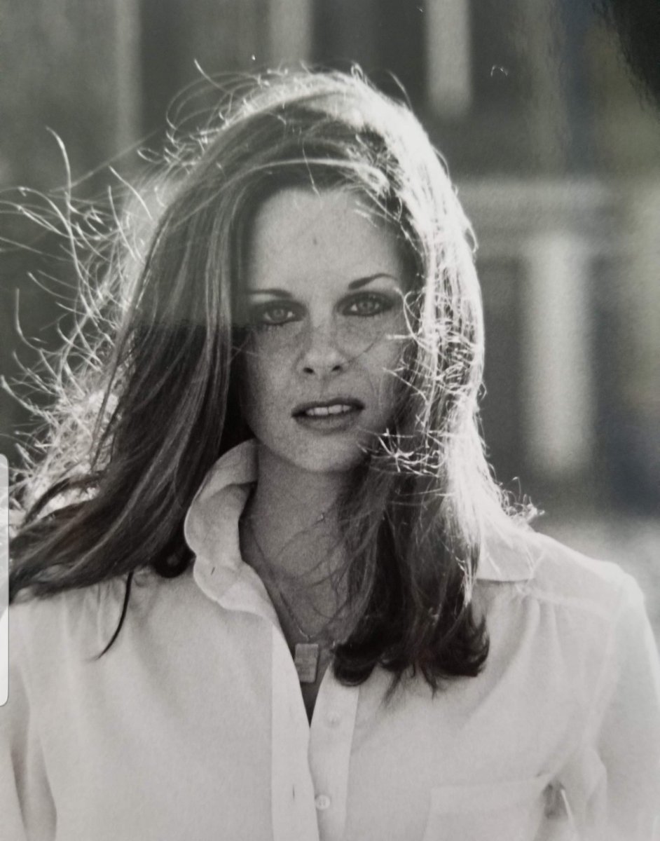 michaeljwhelan tweet media