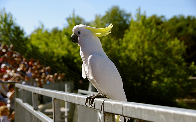 Monique Hernandez tweet media