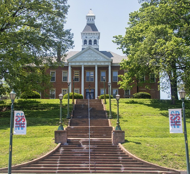 Beth Davis tweet media