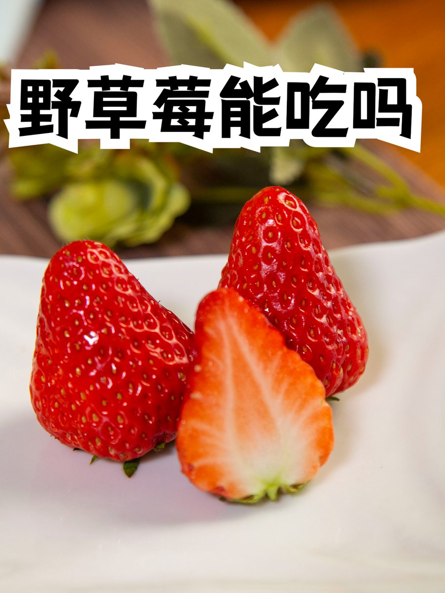 manmoha41412948's tweet photo. " Organic Strawberries vs. Regular: Juicier, sweeter, 30% less pesticide residue! Worth the extra $1 Our taste test says YES  #FoodReview #OrganicLiving" https://t.co/wpkE8Qcmbq