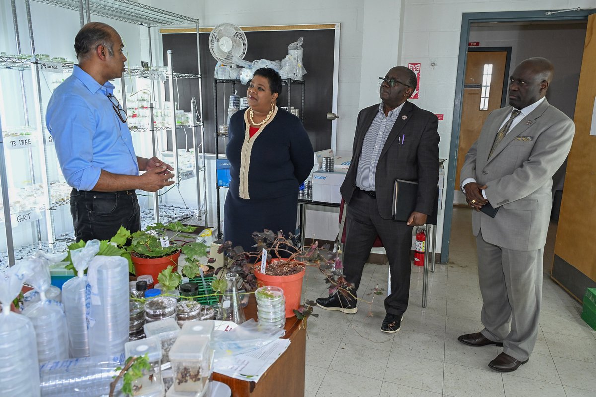 UMES SANS tweet media