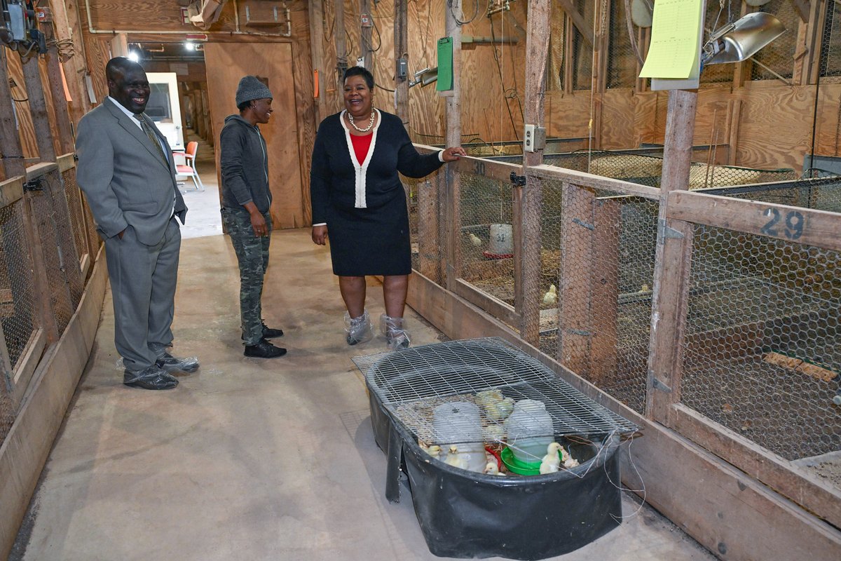 UMES SANS tweet media