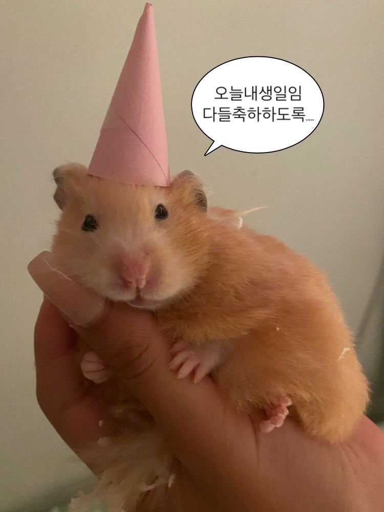 지음 tweet media
