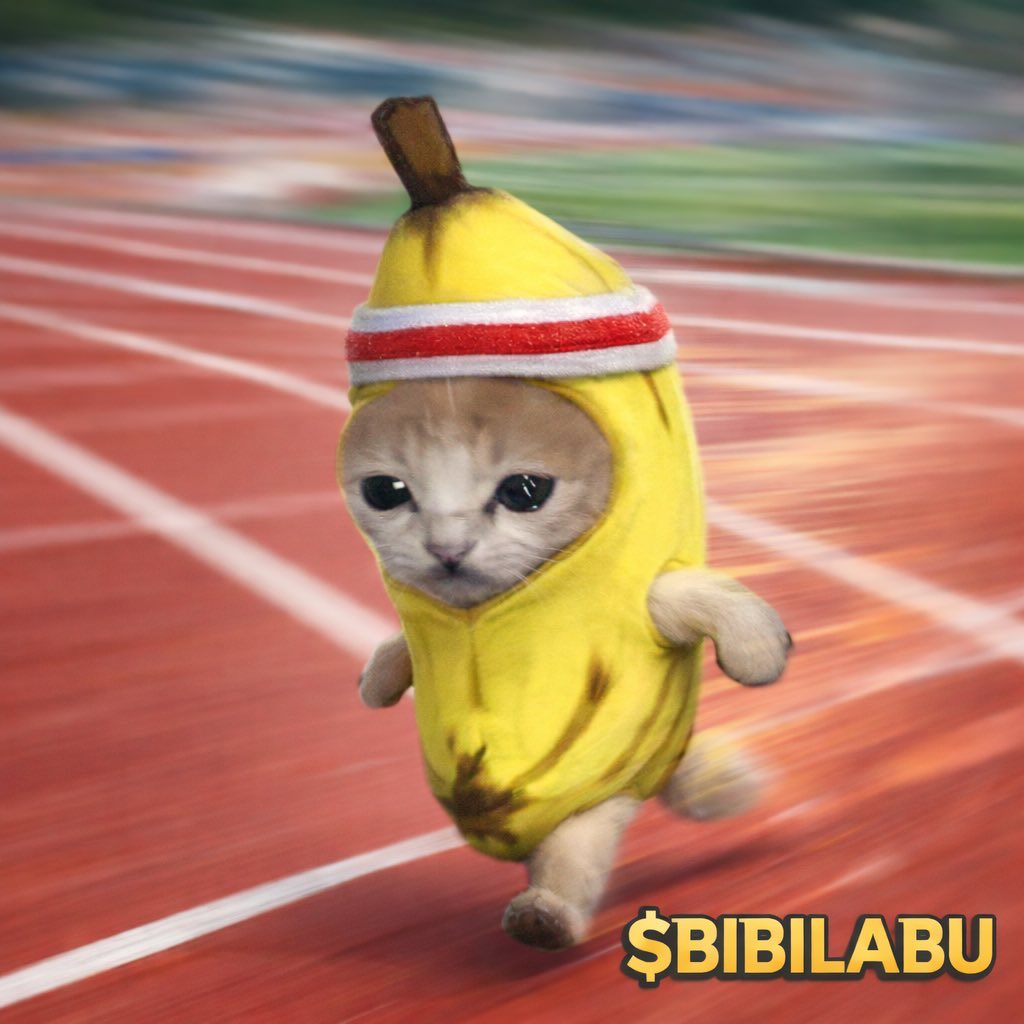 I’m sticking to the OG $BIBILABU 

FaqYSF8DGPTkjq3TUxpNZZoYxmtUu9Ci4ohe4MiHpump

The dev that has the other bibilabu. Yes is the same dev as what the dog doing? But look that has been CTO already because the dev decided to use his success with what the dog doing to rugg $pipilabu