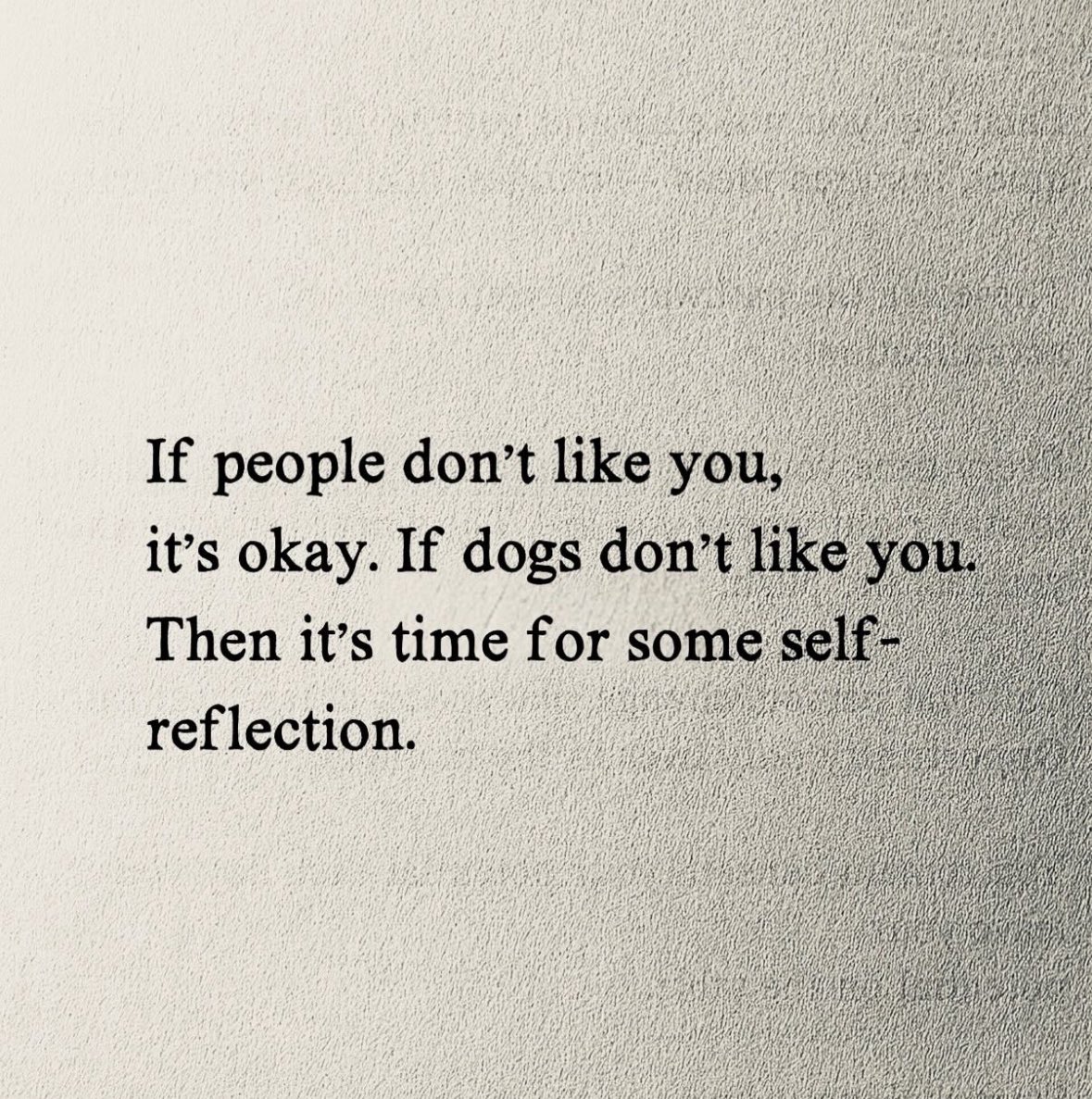 Angel B (@angelboficial) on Twitter photo 