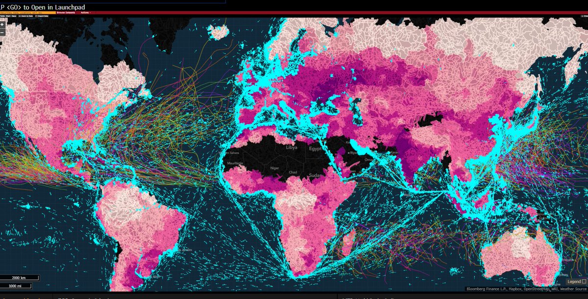 ₕₐₘₚₜₒₙ tweet media