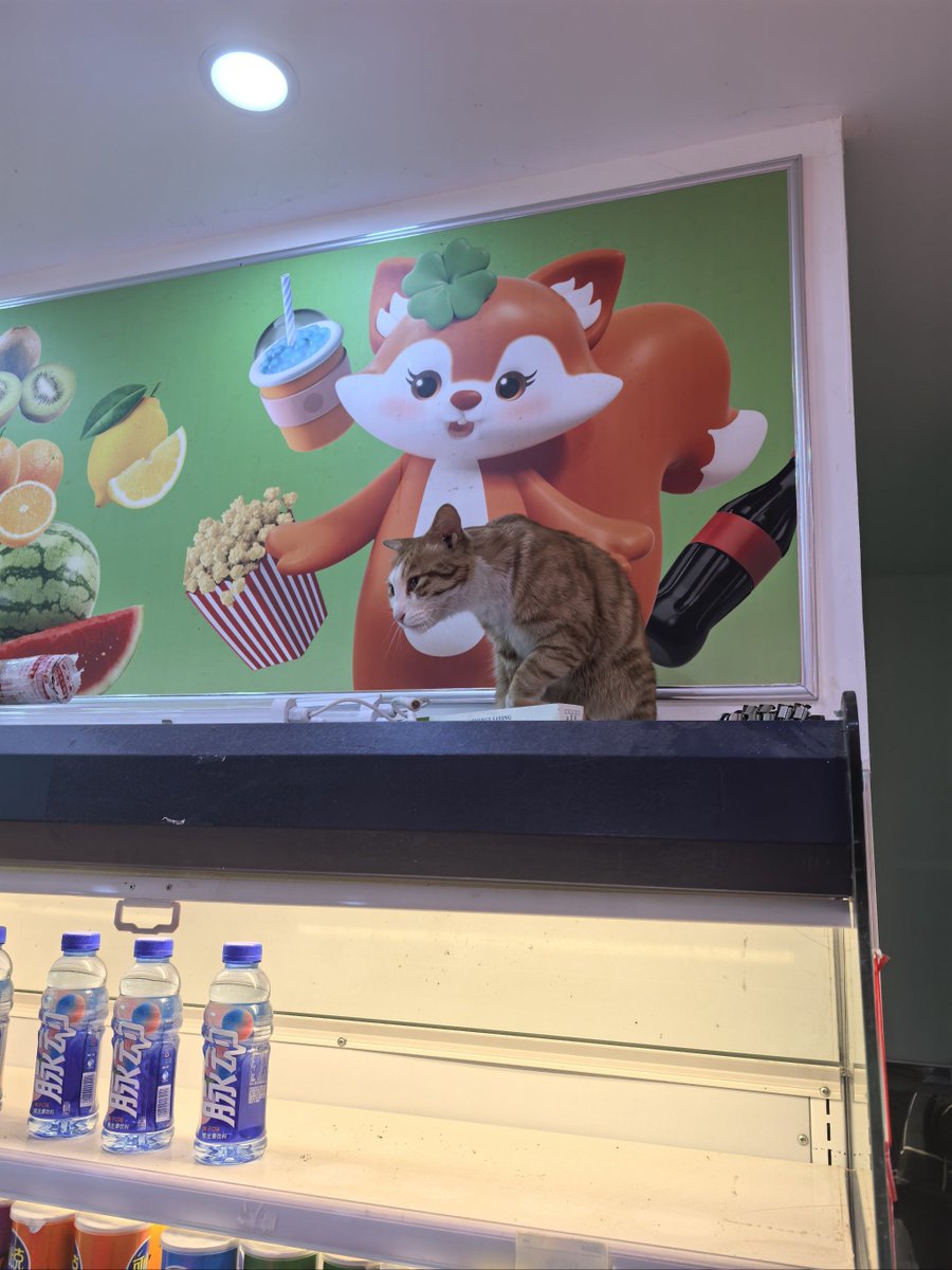 Stefani Petrova tweet media