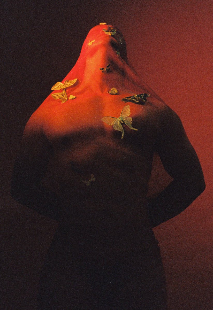 Shengzhe tweet media