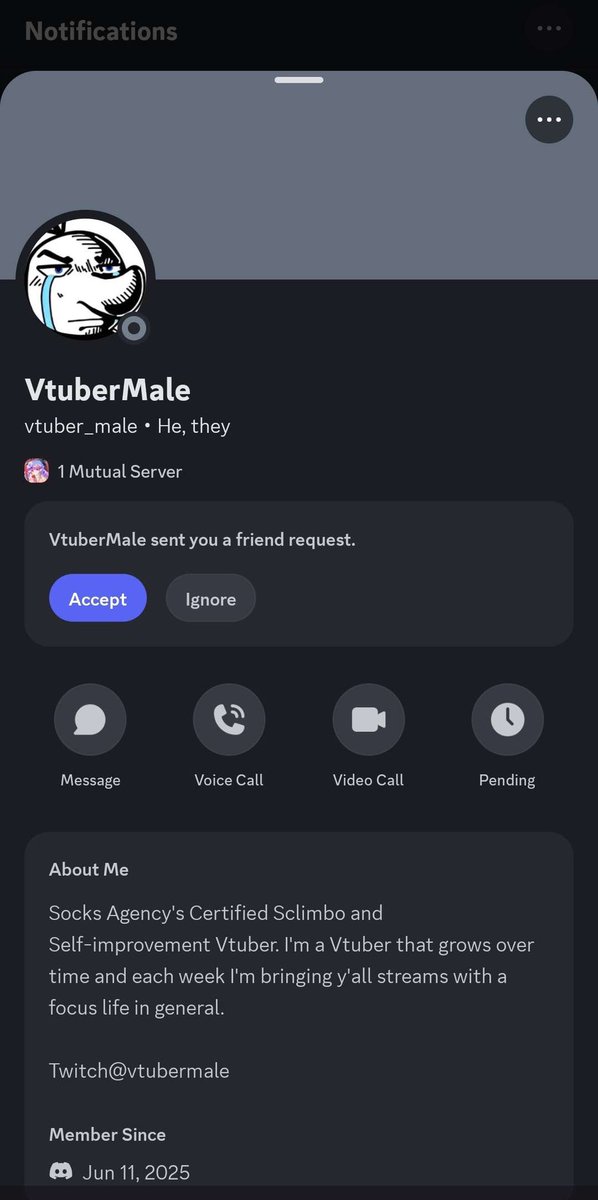 Mapleable˚✧₊Fairy Vtuber˳✧༚🧚‍♀️Debut: 19th June tweet media